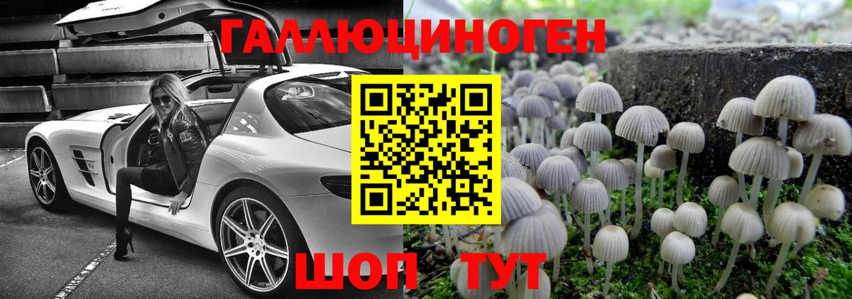 Псилоцибиновые грибы Magic Shrooms Ростов Великий